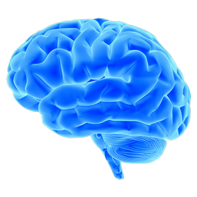 Blue Brain Transparent Image PNG Images