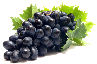 Real Black Grapes image Png Picture PNG Images