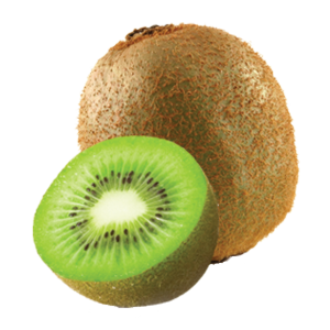 Kiwi Picture Free Download PNG Images