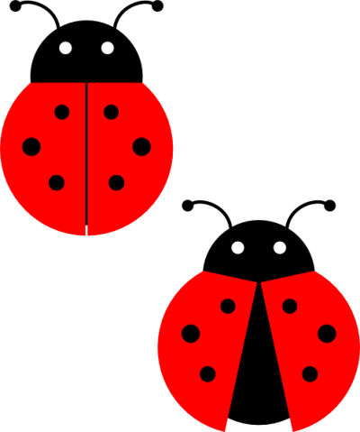 Ladybug Picture 28 PNG Images