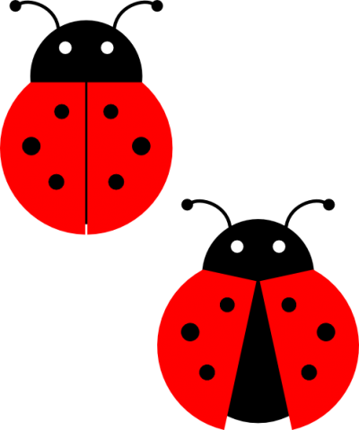 ladybug PNG image transparent image download, size: 793x765px