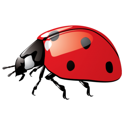 Ladybug isolated on a Transparent Background 24249280 PNG