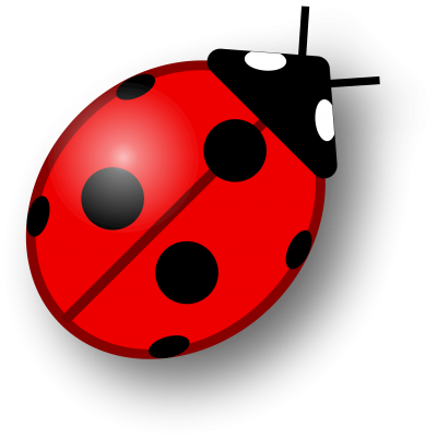 ladybug PNG image transparent image download, size: 2400x1882px