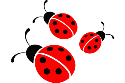 Ladybug PNGs for Free Download