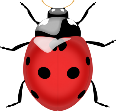 Ladybug Icon PNG Images