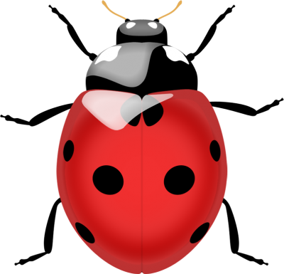 Ladybug clipart. Free download transparent .PNG