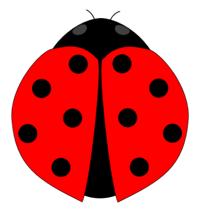 Ladybug isolated on a Transparent Background 24249280 PNG