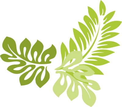 Leaf Frame Transparent Image PNG Images