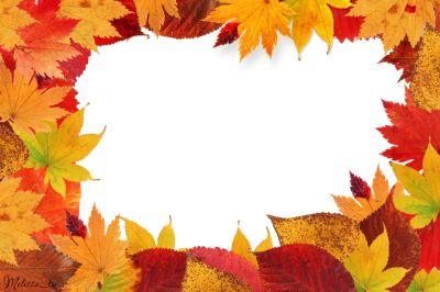 Leaf Frame Free Cut Out PNG Images