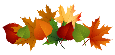 Leaf Frame Free PNG PNG Images