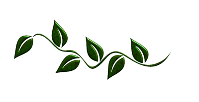 Leaf Frame Photos PNG Images