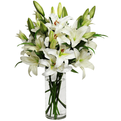 Lily Vase Free Transparent Png PNG Images