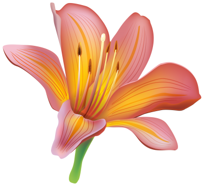 Vintage Lily Free Download Transparent PNG Images