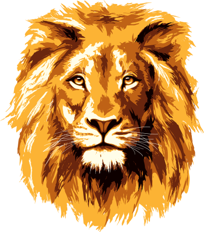 Lion Head Face Free Transparent Png PNG Images