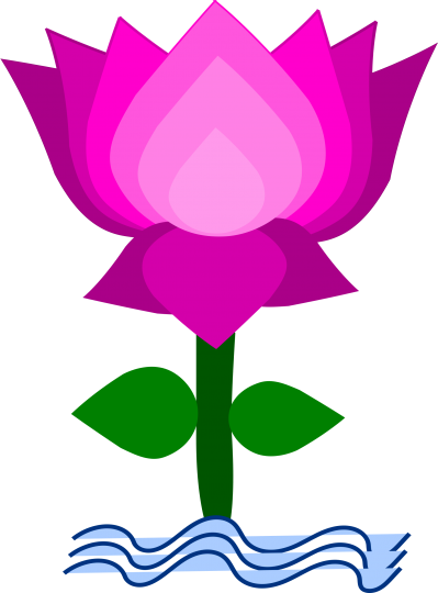 Lotus Transparent Background PNG Images