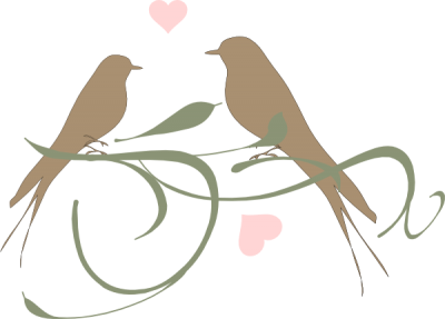 Love Birds Clipart Photos PNG Images