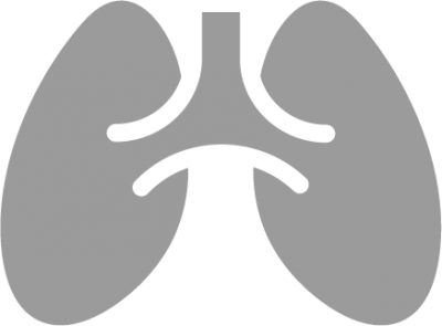 Lung icons And Png PNG Images