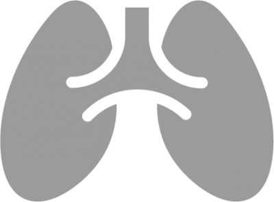 Lung Icons And Png PNG Images