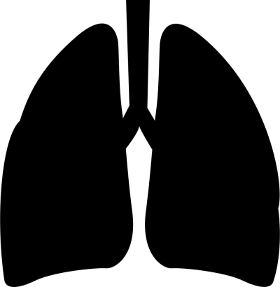Lungs Dark Png icon PNG Images