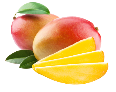 Mango PNG Vector Images with Transparent background - TransparentPNG