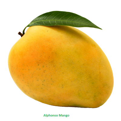 Mango Free Cut Out 3 PNG Images