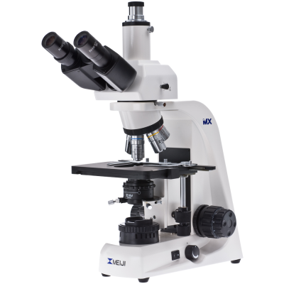 Microscope Png Image PNG Images