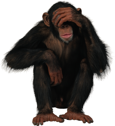 Depressed, Sad Black Monkey Png Hd Background PNG Images