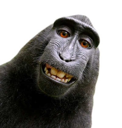 Humor Laughing Black Monkey Hd Png Free Download PNG Images
