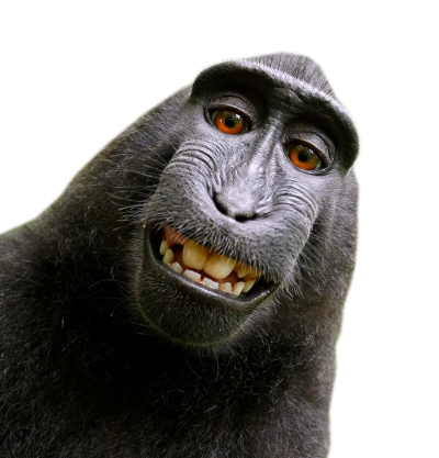 monkey laughing