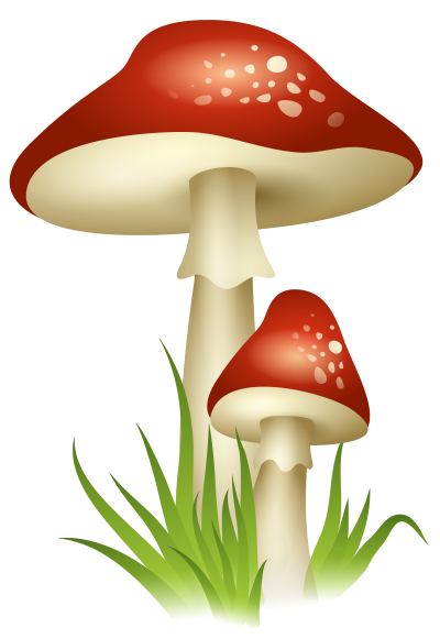 Mushroom HD Photo Png PNG Images