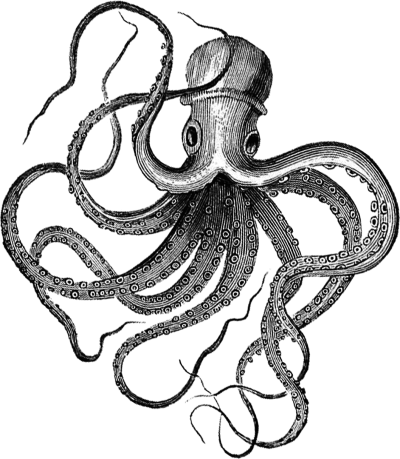 Black Terrible Octopus Png Free PNG Images