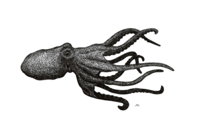 Octopus Art Transparent Free PNG Images