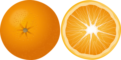 Back and front orange vector graphic hd png 