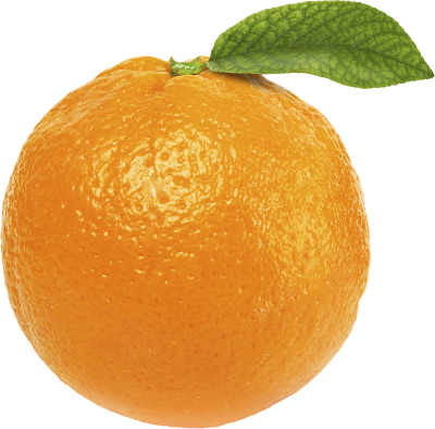 Best real orange png free clipart photos