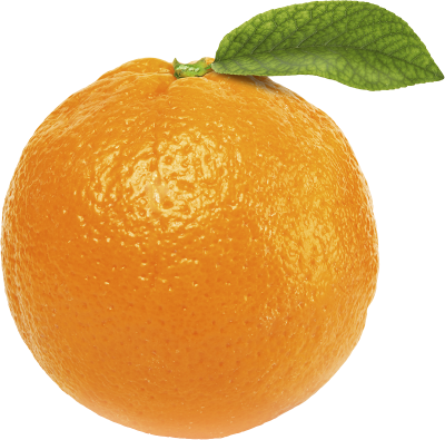 Best Real Orange Png Free PNG Images