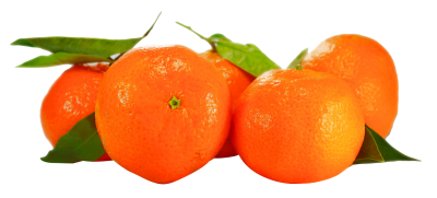 Fresh tangerines png transparent picture