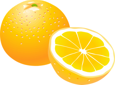 Full And Half Orange Transparent Graphic Illustration PNG Images