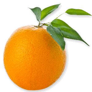 Leafy Whole Orange Transparent Hd PNG Images