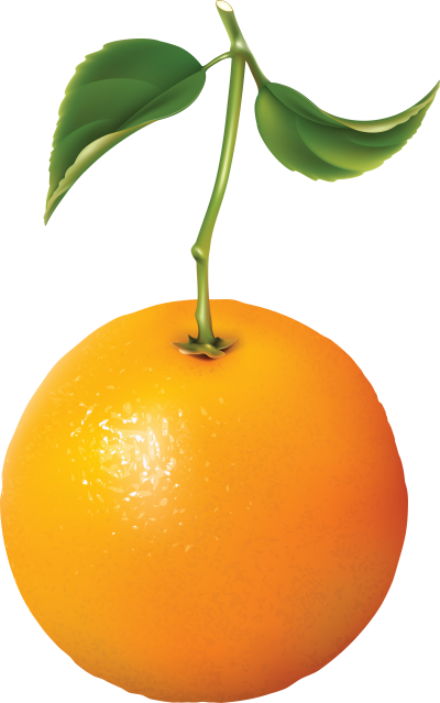 Download Free ORANGE PNG transparent background and clipart