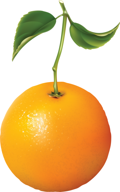 Download ORANGE Free PNG transparent image and clipart