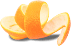 Orange peel clipart png icon