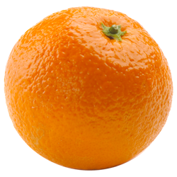 Real orange png clipart wonderful picture images