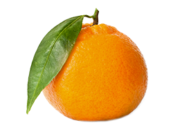 Side View Mandarin Png Transparent PNG Images