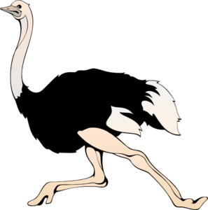 Running Ostrich Clip Art At Pictures PNG Images