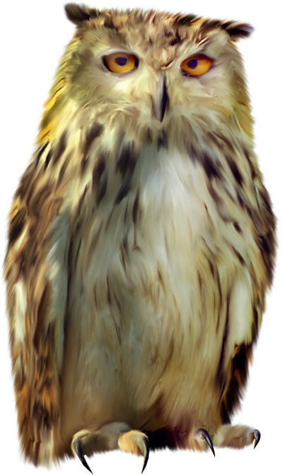 Sleepy Staring Owl Transparent Clipart Background, Bird, Animals PNG Images