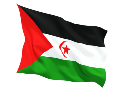 Palestine Flag Best PNG Images