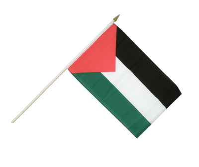 Palestine Flag 8 PNG Images