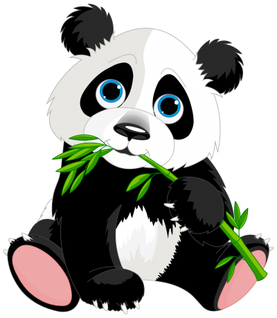 Cute Panda Background Photo With Leaf in Hand PNG Images
