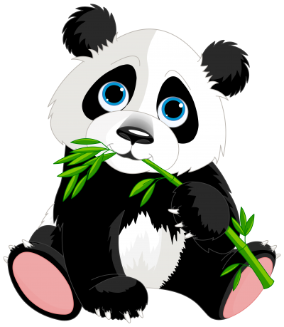 Cute Panda Background Photo With Leaf In Hand PNG Images