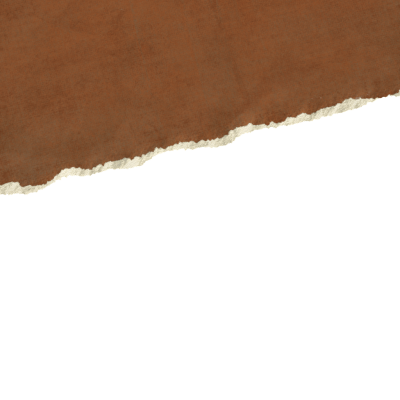 Brown Tear Paper Images Hd Png PNG Images